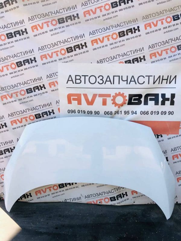 Капот Renault Scenic 651008842R — Renault Scenic III