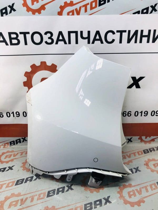 Накладка, ікло заднього бампера лівий білий RENAULT SCENIC III 850170001R — Renault Scenic III